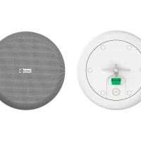 pn6-p_w_1.png