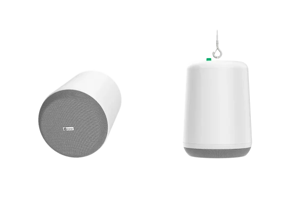 pn6-p_w_2.png