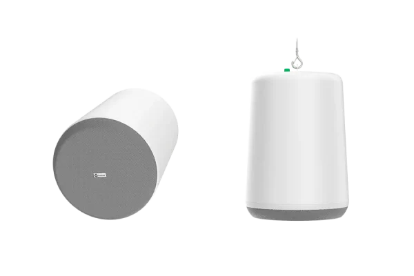 pn8-p-w-2.png